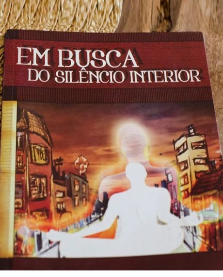 Capa de Em Busca do Silêncio Interior
